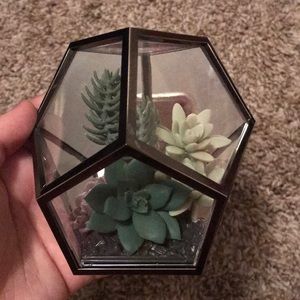 Bath & Body Works Wallflower Plug